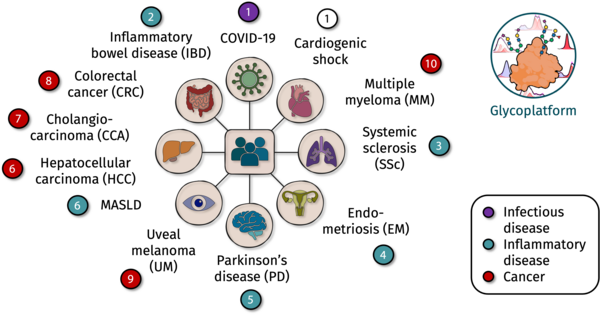 NMR-glycoplatform cohorts