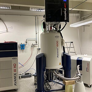NMR spectrometer AVANCE III HD & CryoPlatform