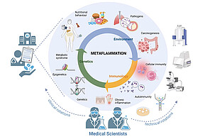 EKF MSG metaflammation