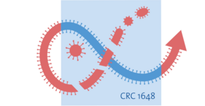 Logo CRC1648