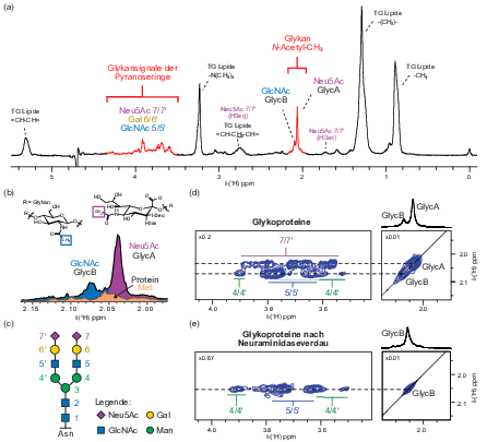 NMR glycoproteins results