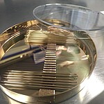 Gold capillaries for MS