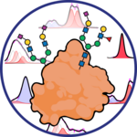 Glycoplatform (Lorena Rudolph)