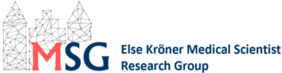 Logo EKF MSG